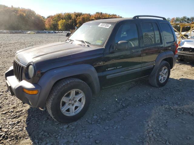 JEEP LIBERTY 2003 black  gas 1J4GL48K33W729978 photo #1