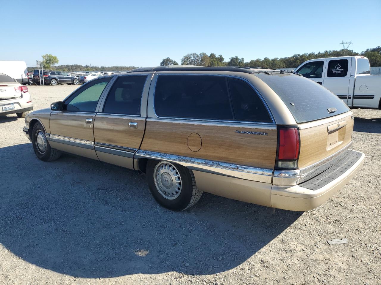 Lot #3041903919 1996 BUICK ROADMASTER