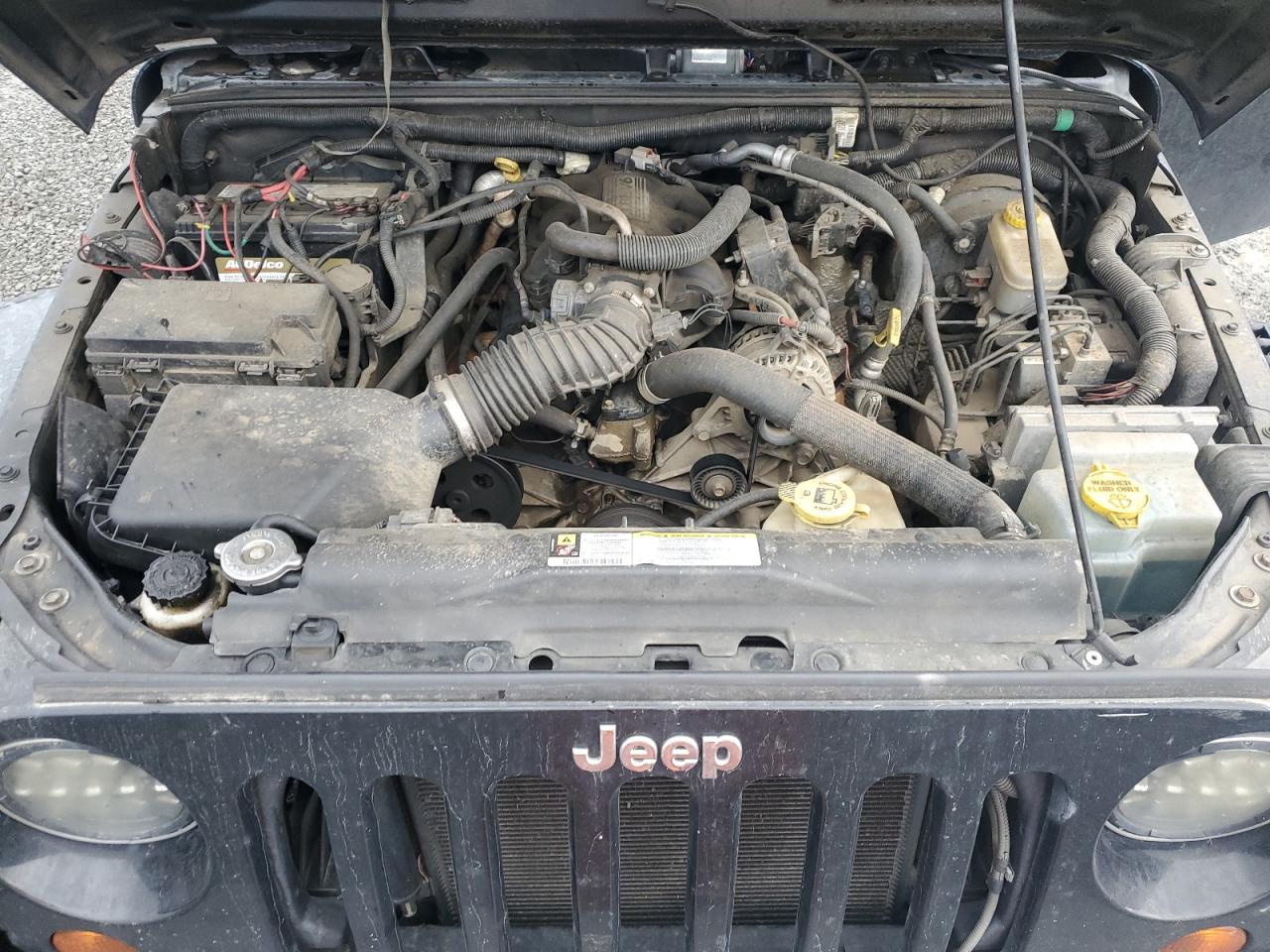 Lot #2994522839 2008 JEEP WRANGLER U