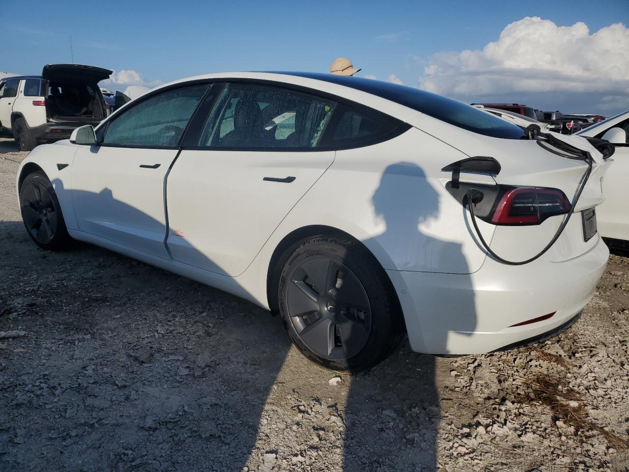 Lot #2999482298 2022 TESLA MODEL 3