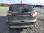 Lot #2907384065 2016 FORD ESCAPE SE