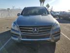 MERCEDES-BENZ ML 350 photo