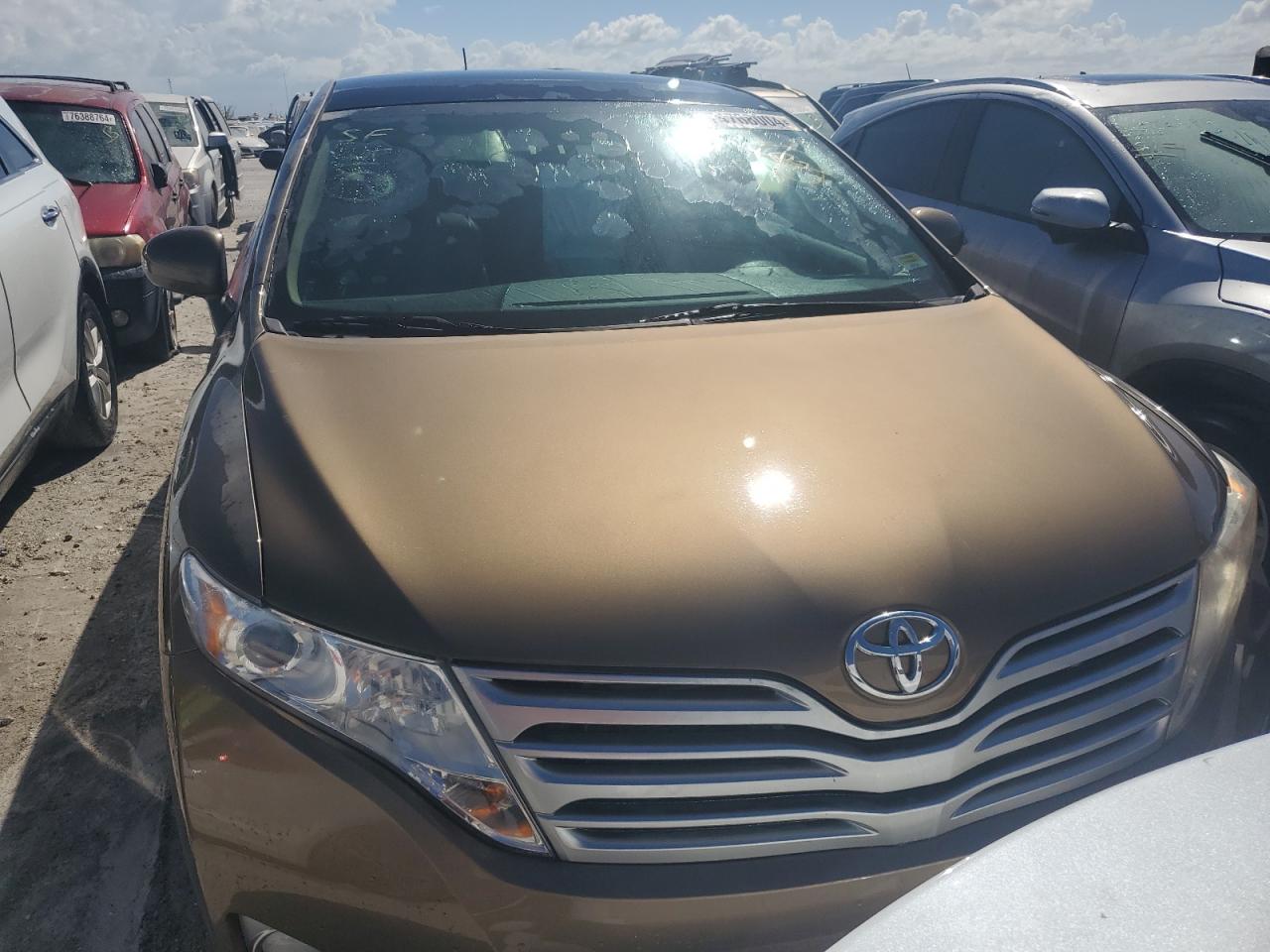 Lot #2960228425 2010 TOYOTA VENZA