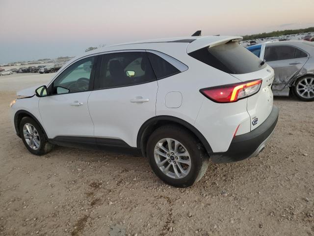 2021 FORD ESCAPE SE - 1FMCU0BZ0MUB19559