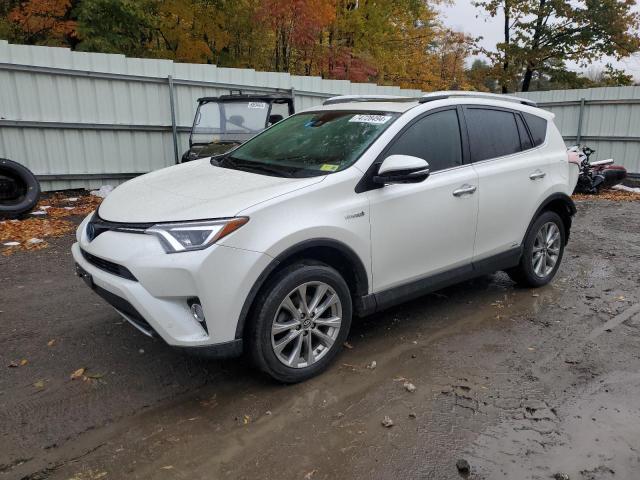 VIN JTMDJREV5GD041069 2016 Toyota RAV4, Limited no.1