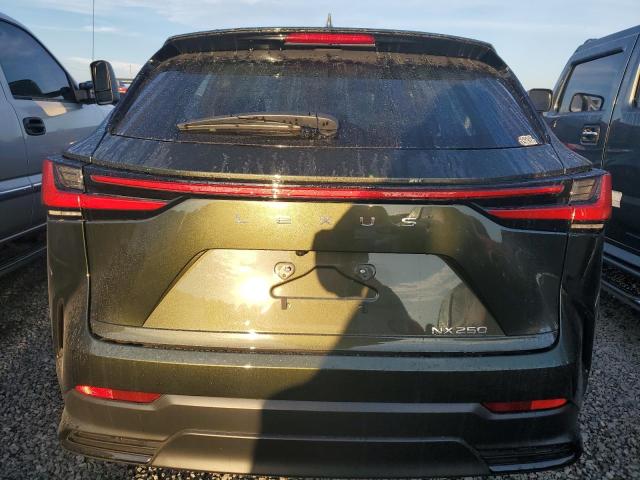 2022 LEXUS NX 250 2T2ADCAZ4NC002446