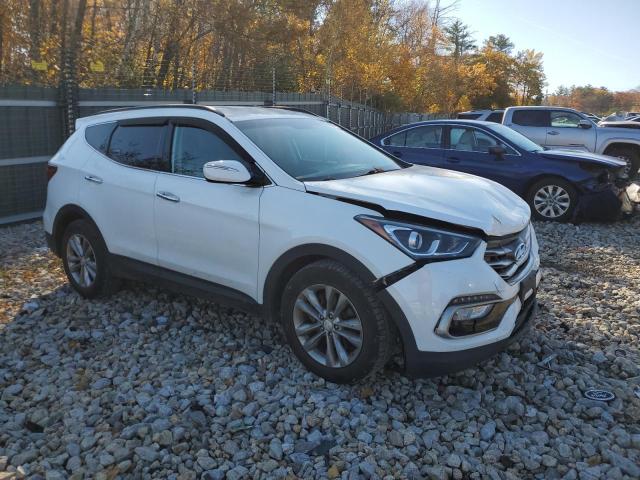 2017 HYUNDAI SANTA FE S - 5XYZUDLA3HG397569