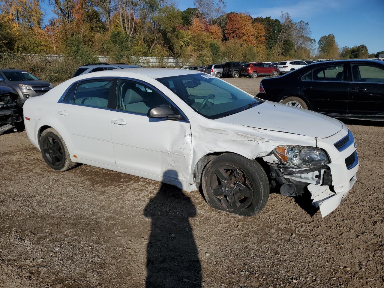 Lot #2988465805 2011 CHEVROLET MALIBU LS