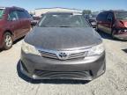 TOYOTA CAMRY L photo