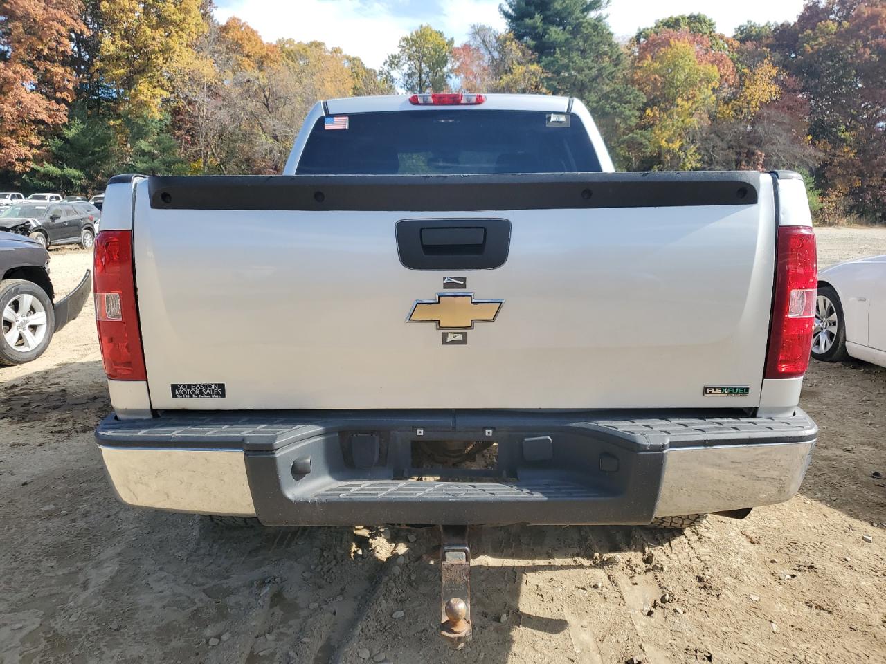 Lot #2925488417 2010 CHEVROLET SILVERADO