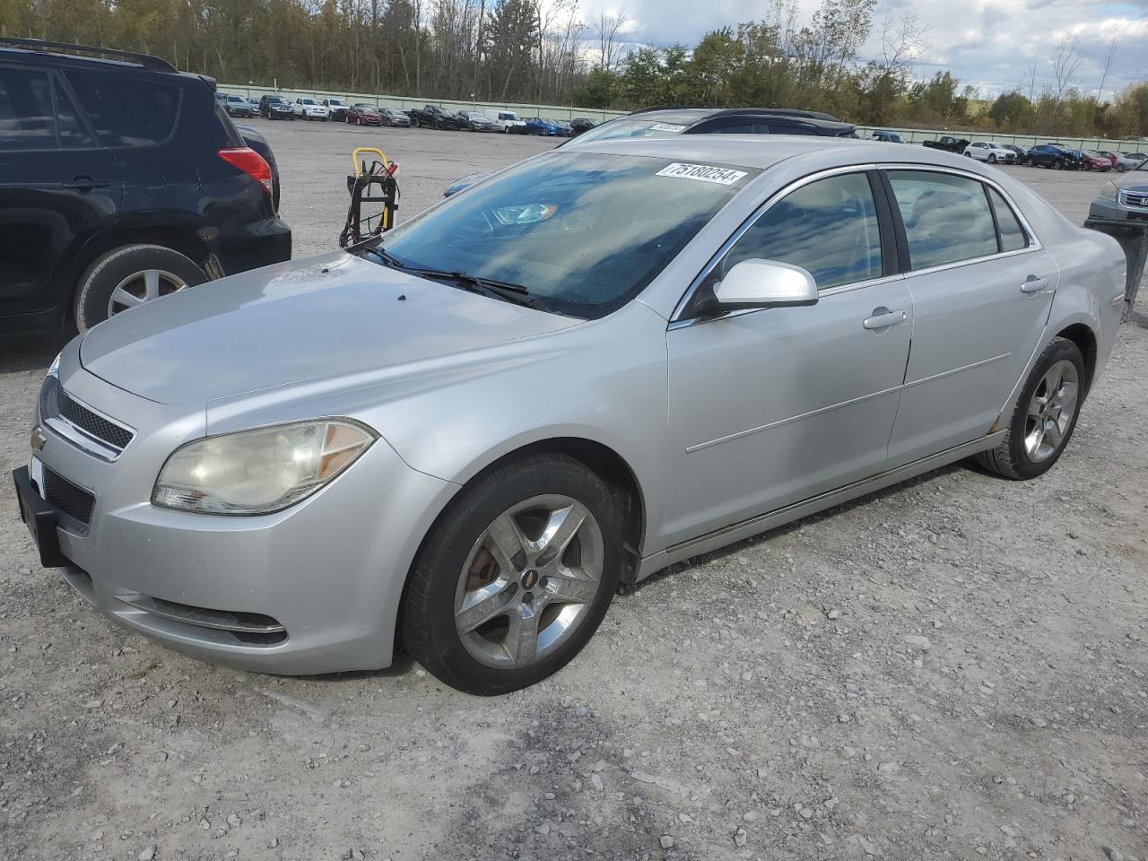 CHEVROLET MALIBU 1LT 2010 silver sedan 4d gas 1G1ZC5EBXAF168239 photo #1