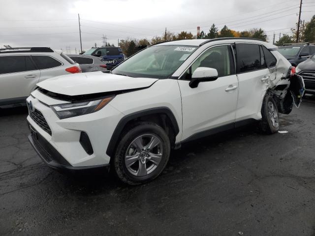 Global Auto Auctions: 2023 TOYOTA RAV4 LE