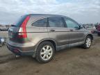 HONDA CR-V EXL снимка