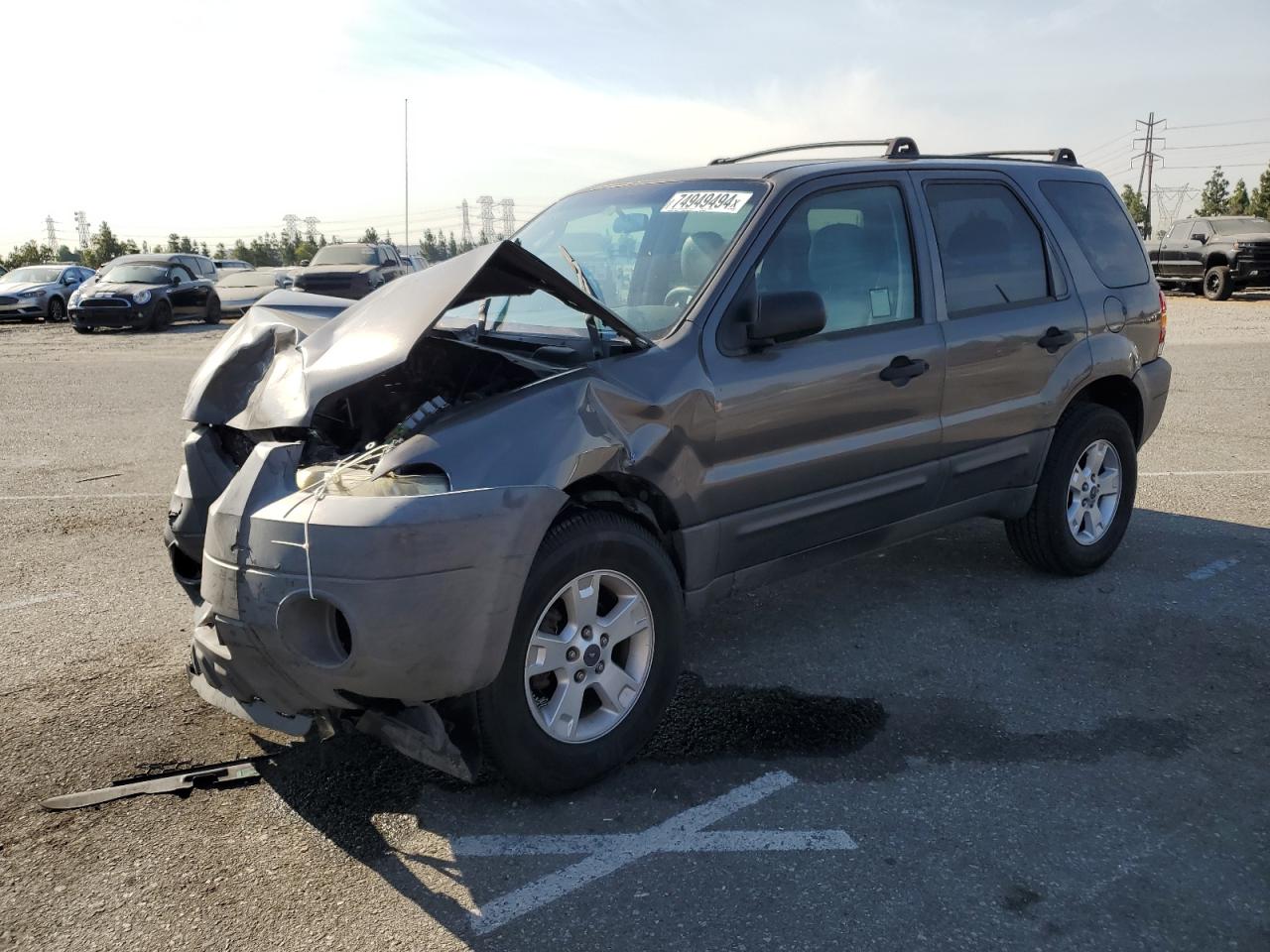 Lot #2986366197 2005 FORD ESCAPE XLT