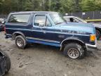 FORD BRONCO U10 photo