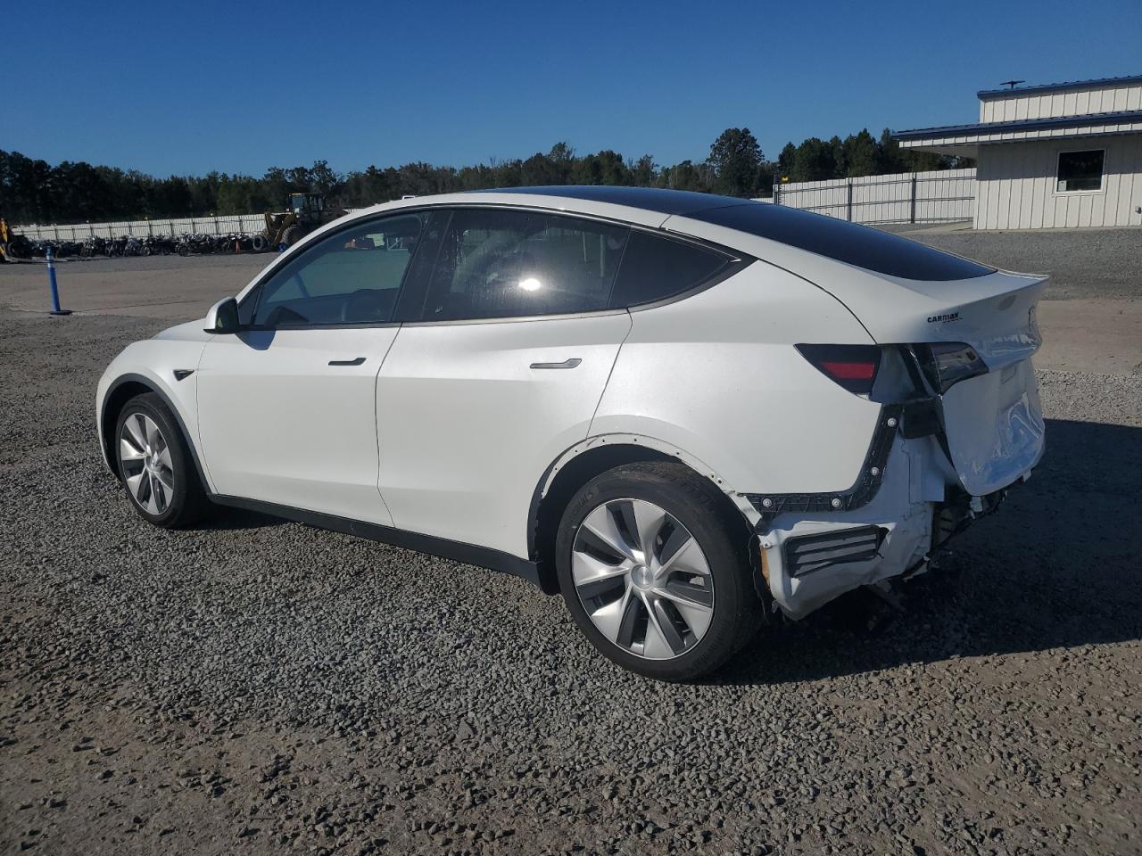 Lot #2936012929 2021 TESLA MODEL Y