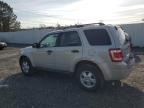 Lot #3028341796 2009 FORD ESCAPE XLT