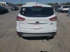 Lot #3006805521 2013 FORD ESCAPE SE