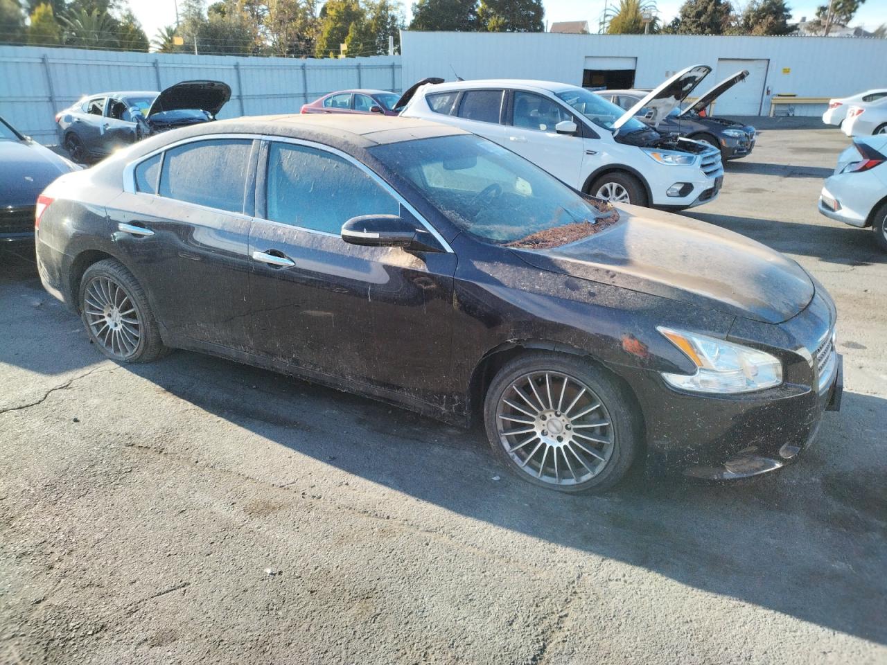 Lot #2982159087 2010 NISSAN MAXIMA S