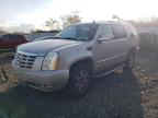 CADILLAC ESCALADE L photo