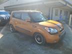 KIA SOUL + photo