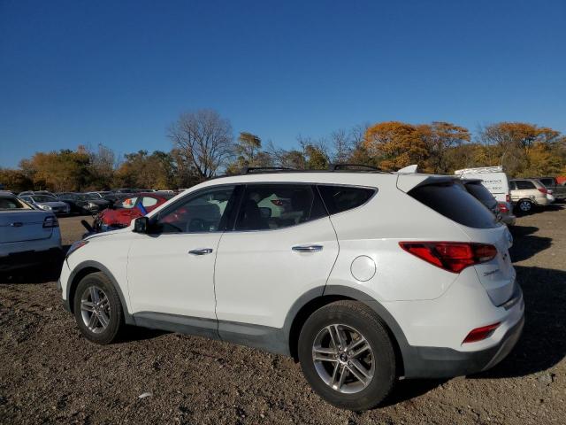 2017 HYUNDAI SANTA FE S - 5NMZUDLB5HH013371