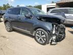 Lot #2991637009 2020 KIA TELLURIDE