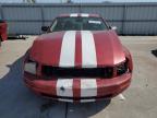 Lot #3023864836 2009 FORD MUSTANG