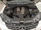 MERCEDES-BENZ ML 350 BLU photo