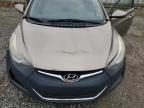 HYUNDAI ELANTRA SE photo