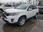 Lot #3025039245 2014 KIA SORENTO LX