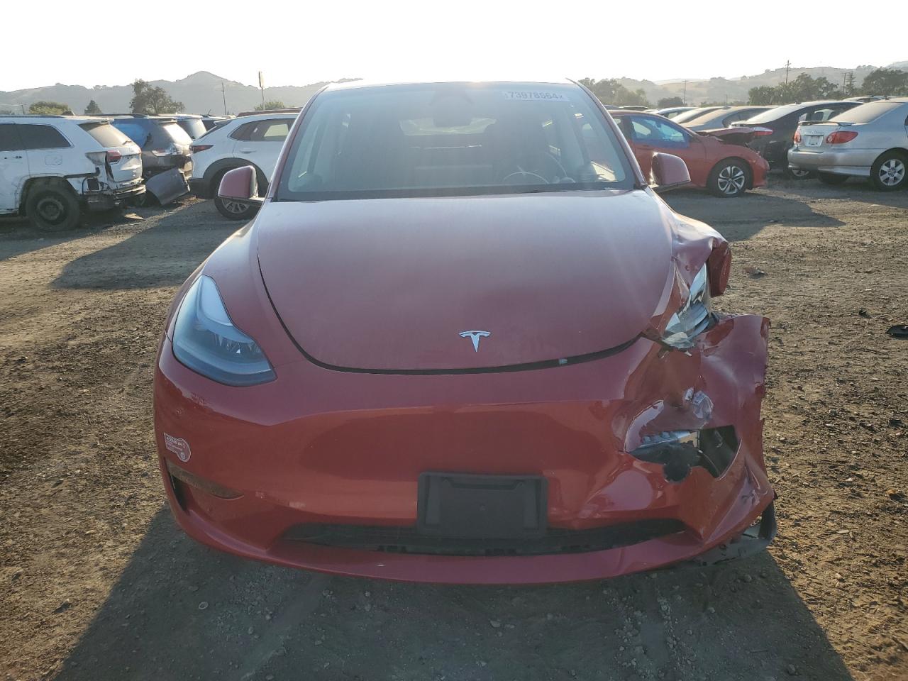 Lot #2990977235 2023 TESLA MODEL Y