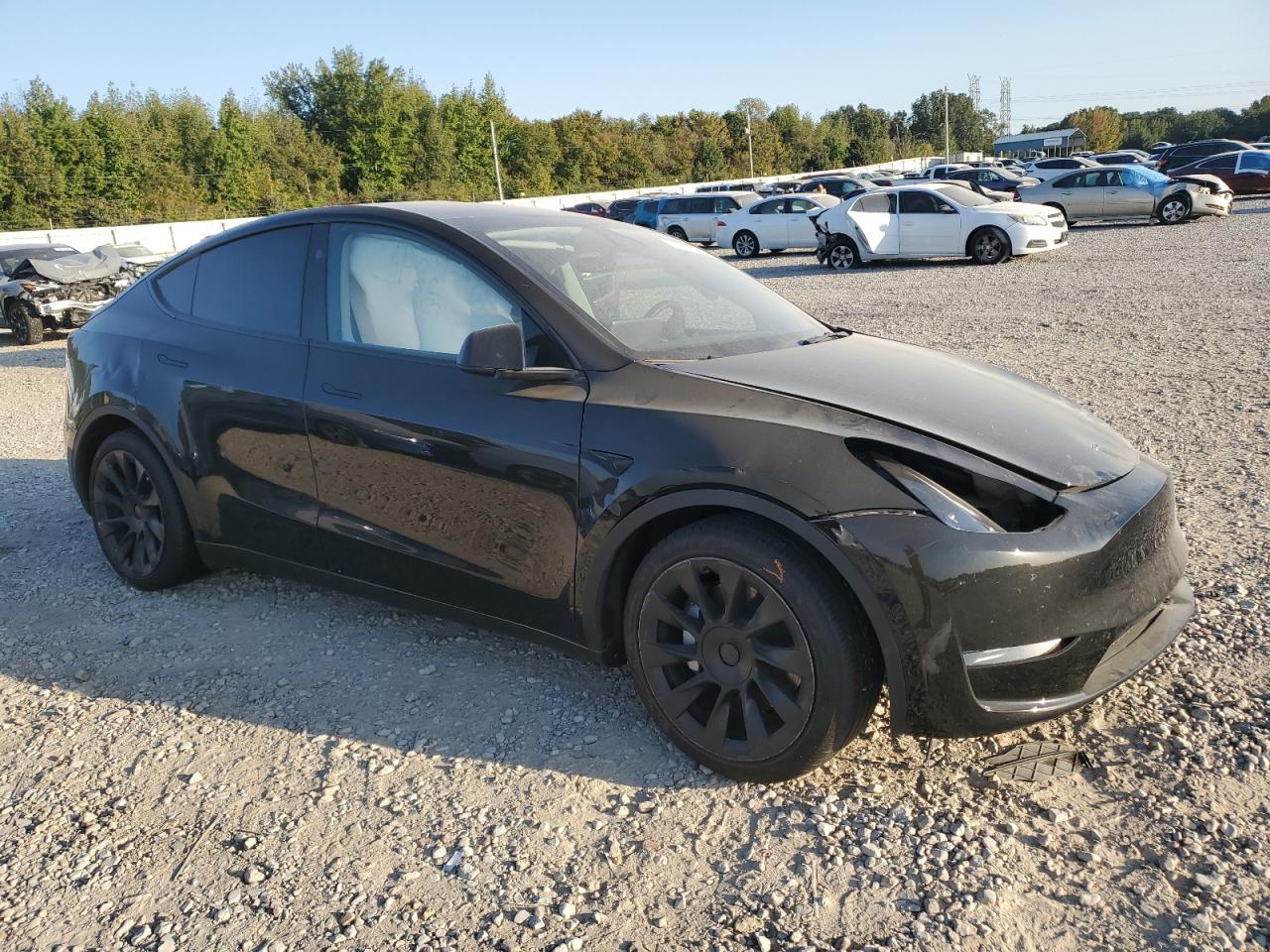 Lot #2990997187 2023 TESLA MODEL Y