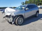 2019 JEEP CHEROKEE L - 1C4PJLCB0KD160305