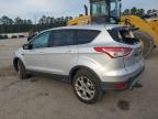 FORD ESCAPE SEL photo