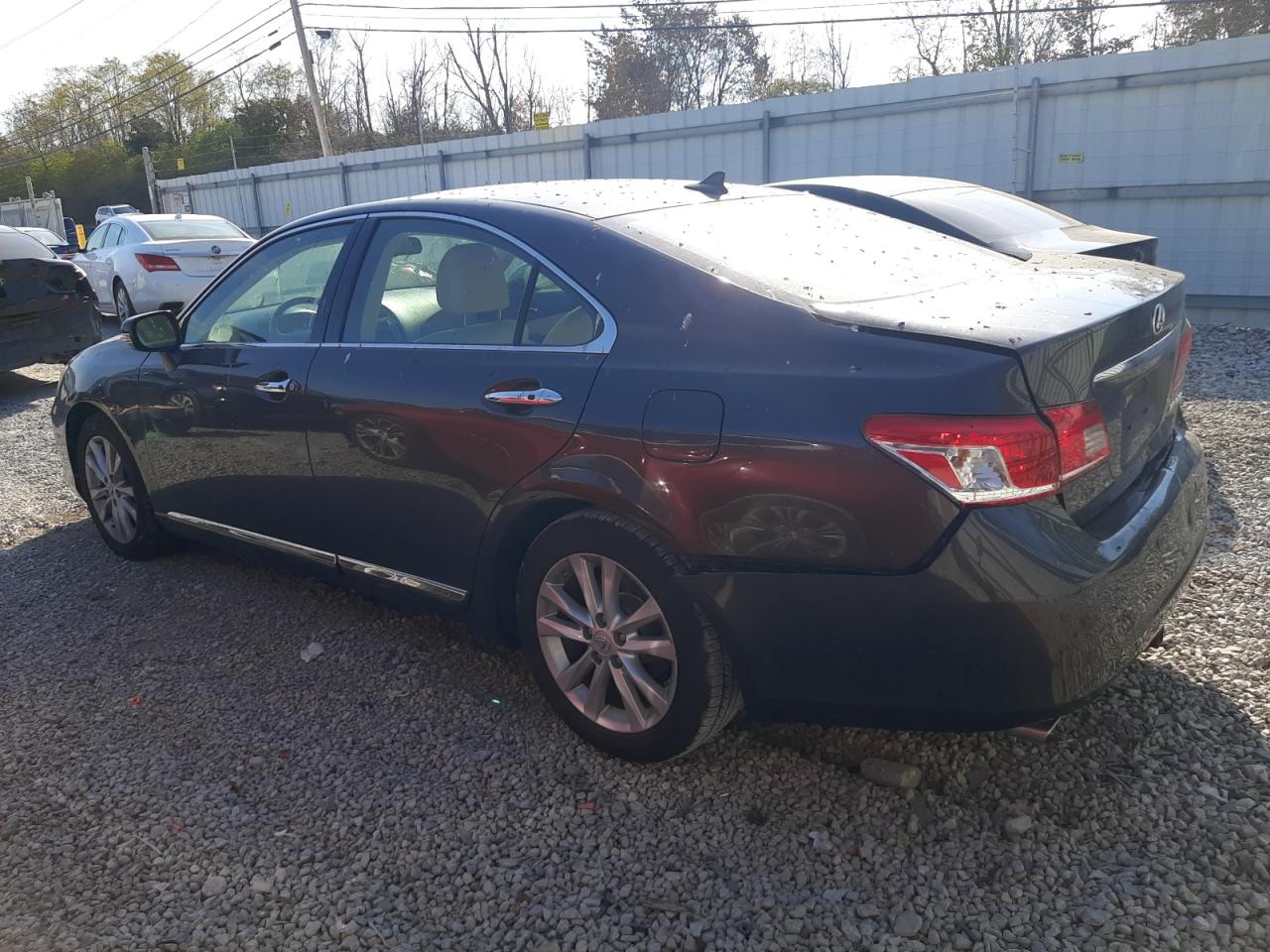 Lot #2952916825 2011 LEXUS ES 350