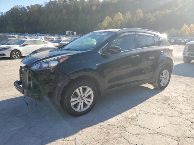 Global Auto Auctions: 2019 KIA SPORTAGE L