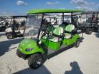 Lot #3027374809 2020 ASPT GOLF CART