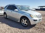 MERCEDES-BENZ ML 350 photo