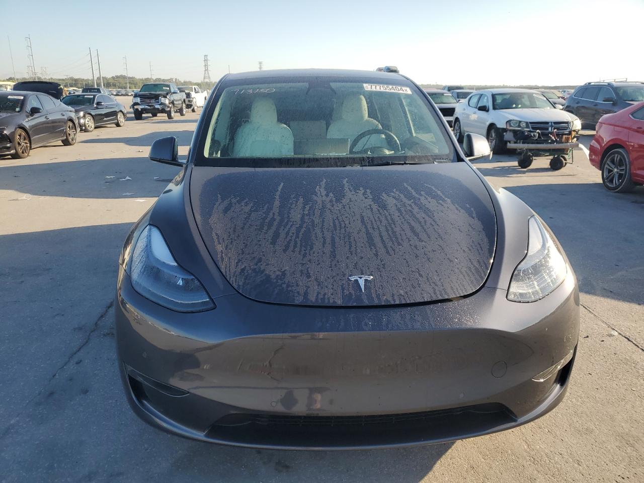 Lot #2986757221 2022 TESLA MODEL Y