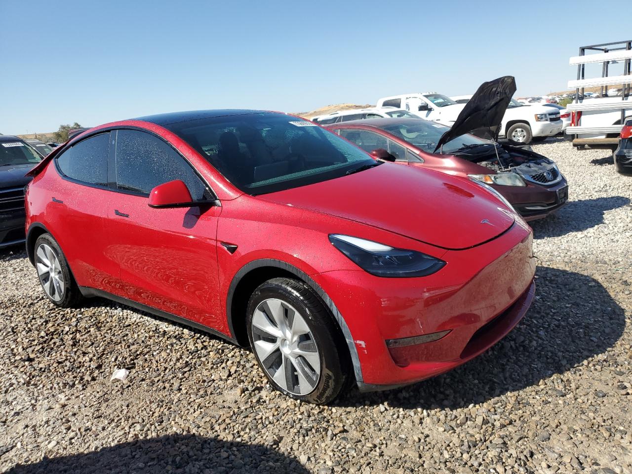 Lot #2974853008 2023 TESLA MODEL Y