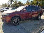 2019 JEEP CHEROKEE L - 1C4PJLLX9KD173775