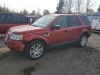 LAND ROVER LR2 SE photo