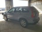 Lot #3006044745 2007 HONDA CR-V EXL