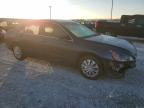 Lot #3008563973 2004 HONDA ACCORD EX