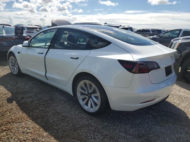 2023 TESLA MODEL 3 - 5YJ3E1EA1PF494970