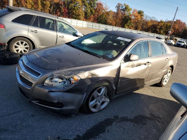 CHEVROLET MALIBU LS