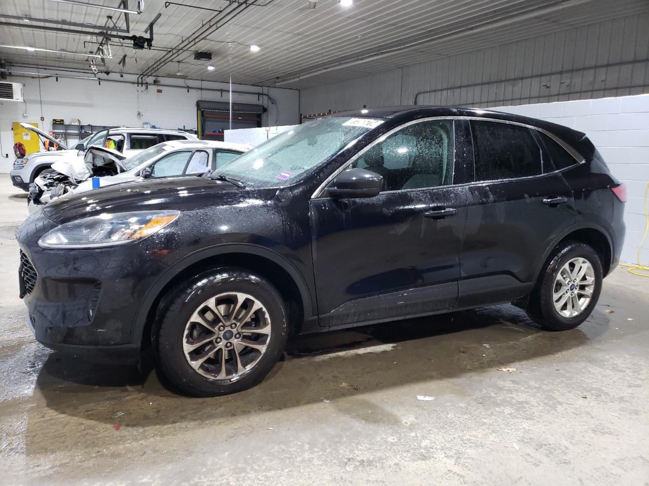 Lot #2959980317 2022 FORD ESCAPE SE