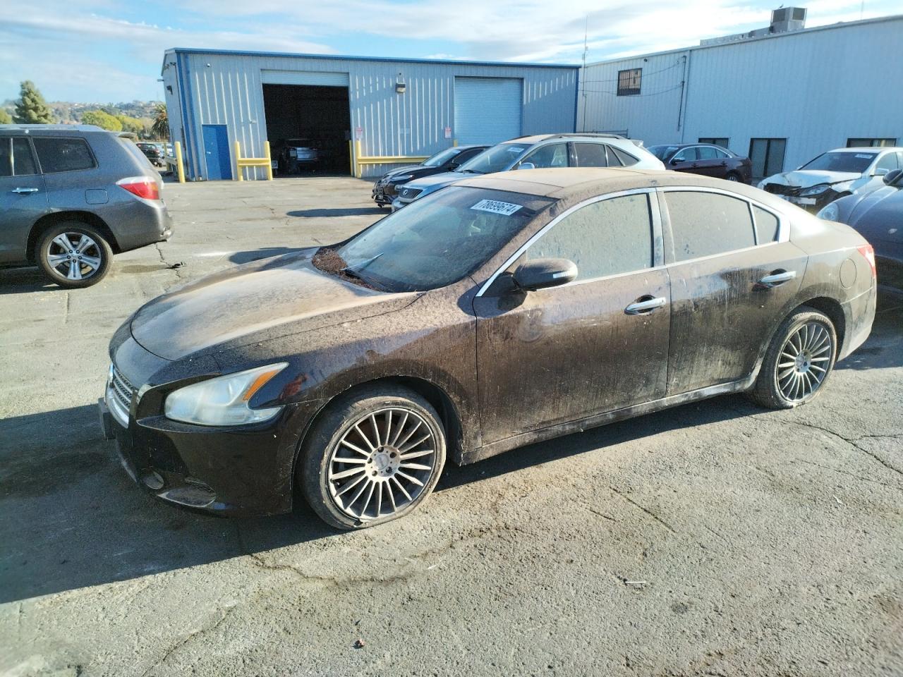 Lot #2982159087 2010 NISSAN MAXIMA S