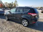 FORD ESCAPE SE снимка